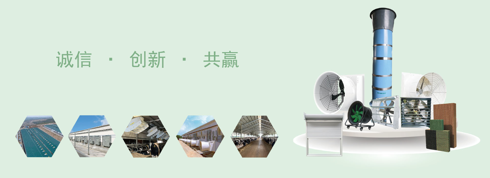 泛仕达中文banner